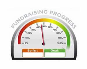 Fundraising Goal Gauge