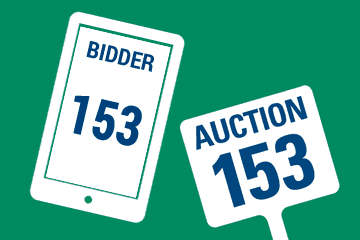 Live Auction - Paddle or Mobile?