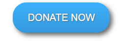 Donate Now Button - Active