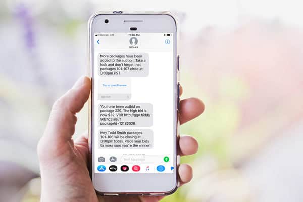 Online Bidding - Using Text Messaging