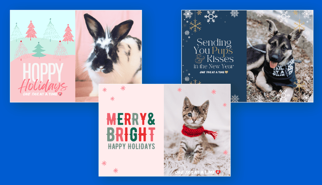 Three holiday eCards that feature rescue animals and holiday sentiments