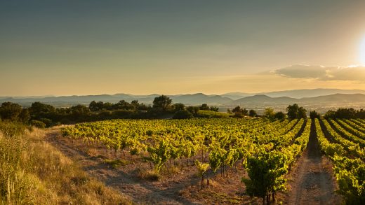 Auction Packages destination South of France