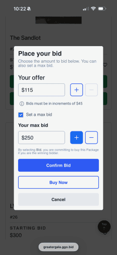 Max Bidding in Greater Giving Mobile Bidding Solutions