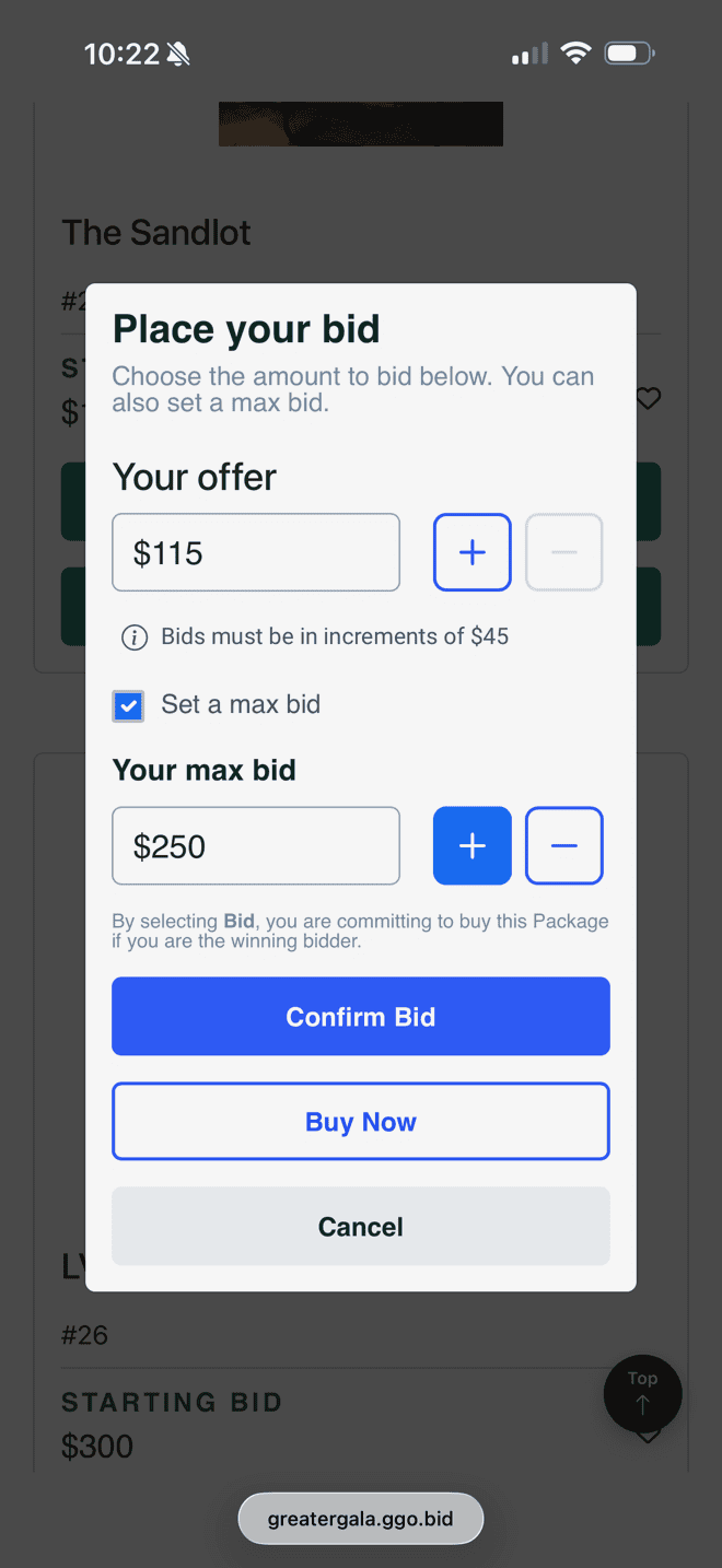 Max Bidding in Greater Giving Mobile Bidding Solutions