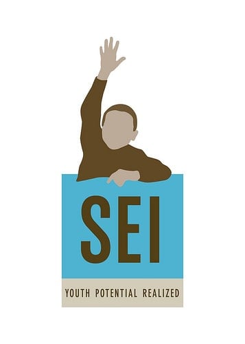 SEI Client Story